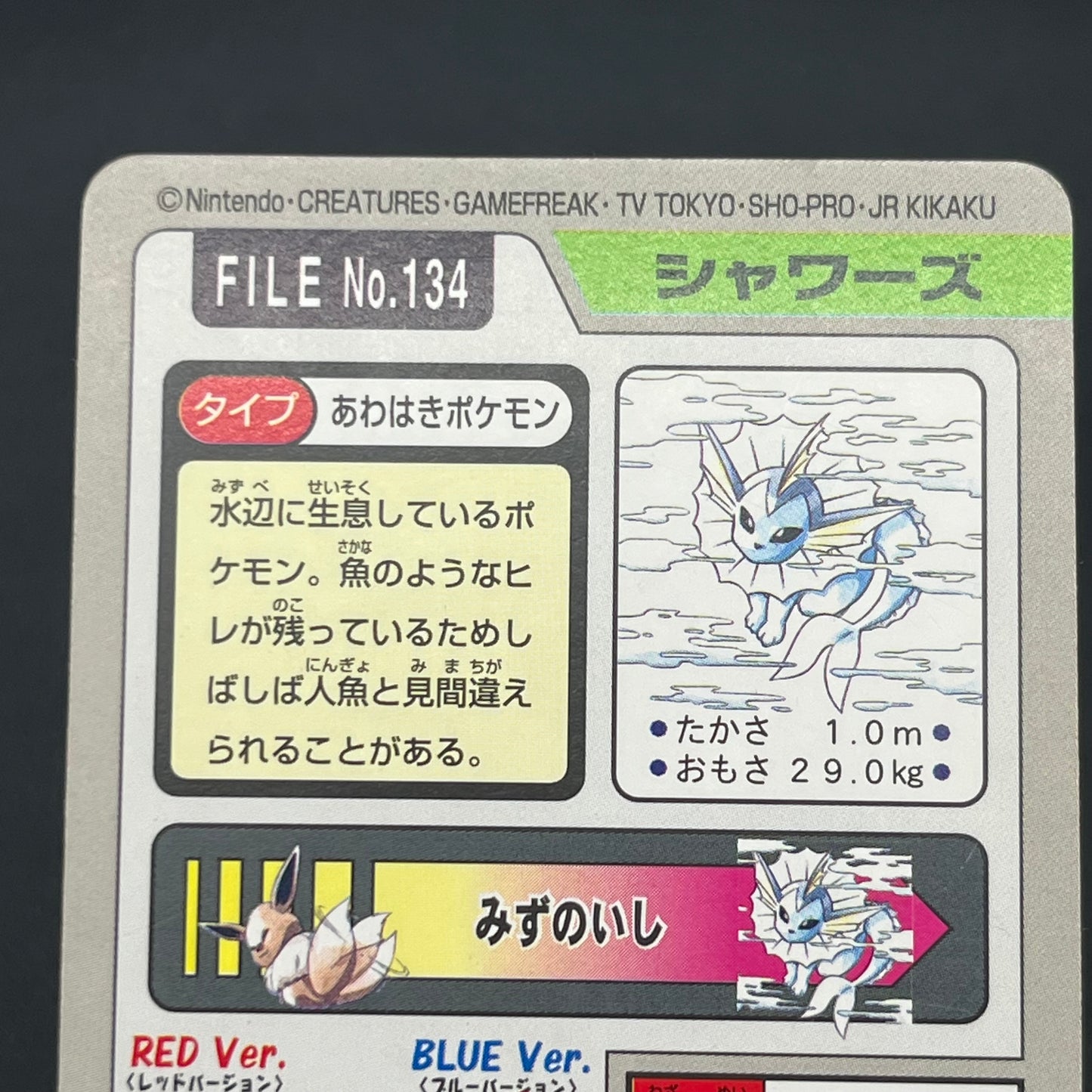 Eevee No.133 Carddass Holo & Vaporeon Jolteon Flareon Card (END)