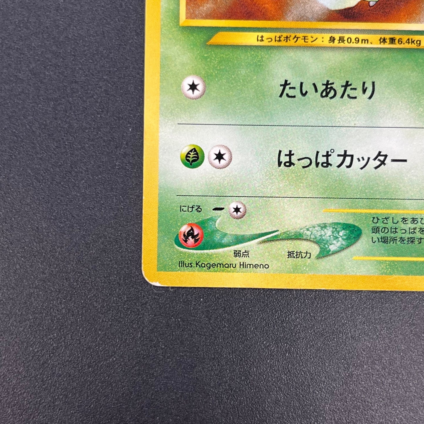 Chikorita No. 152 Intro Pack Promo Half Deck Pokémon Card