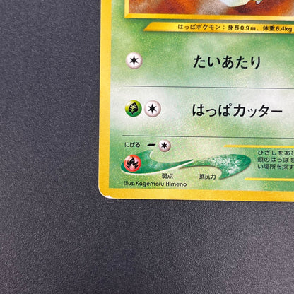 Chikorita No. 152 Intro Pack Promo Half Deck Pokémon Card