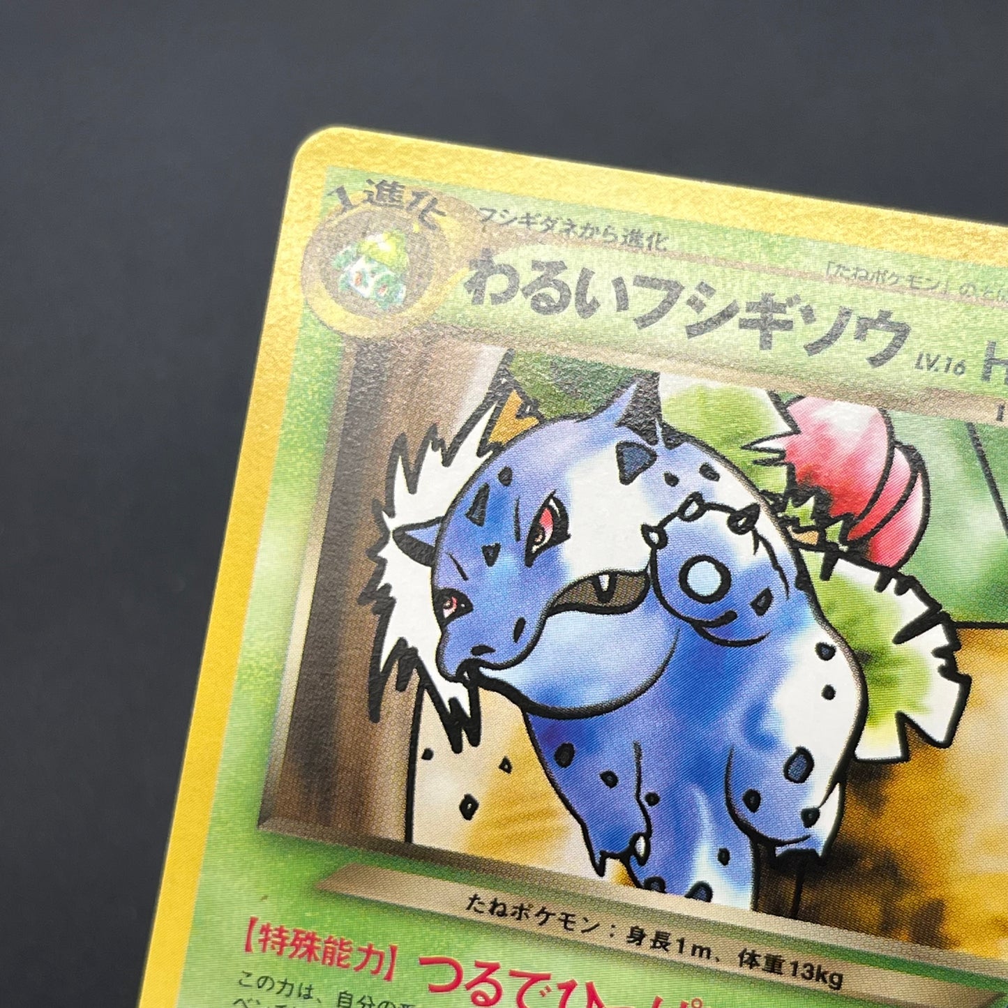 Dark Ivysaur 002 Trainer Magazine Gameboy GB Promo Pokémon