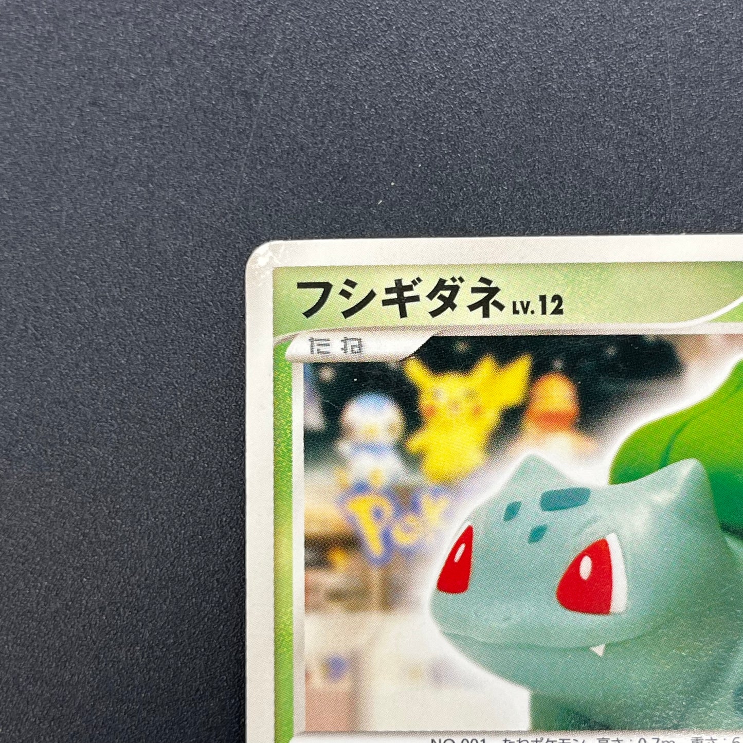 Bulbasaur 030/DPt-P Pokemon 10th Anniversary Japanese Card