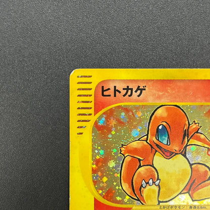 Charmander 004/018 McDonald's Promo Holo e Pokemon Card