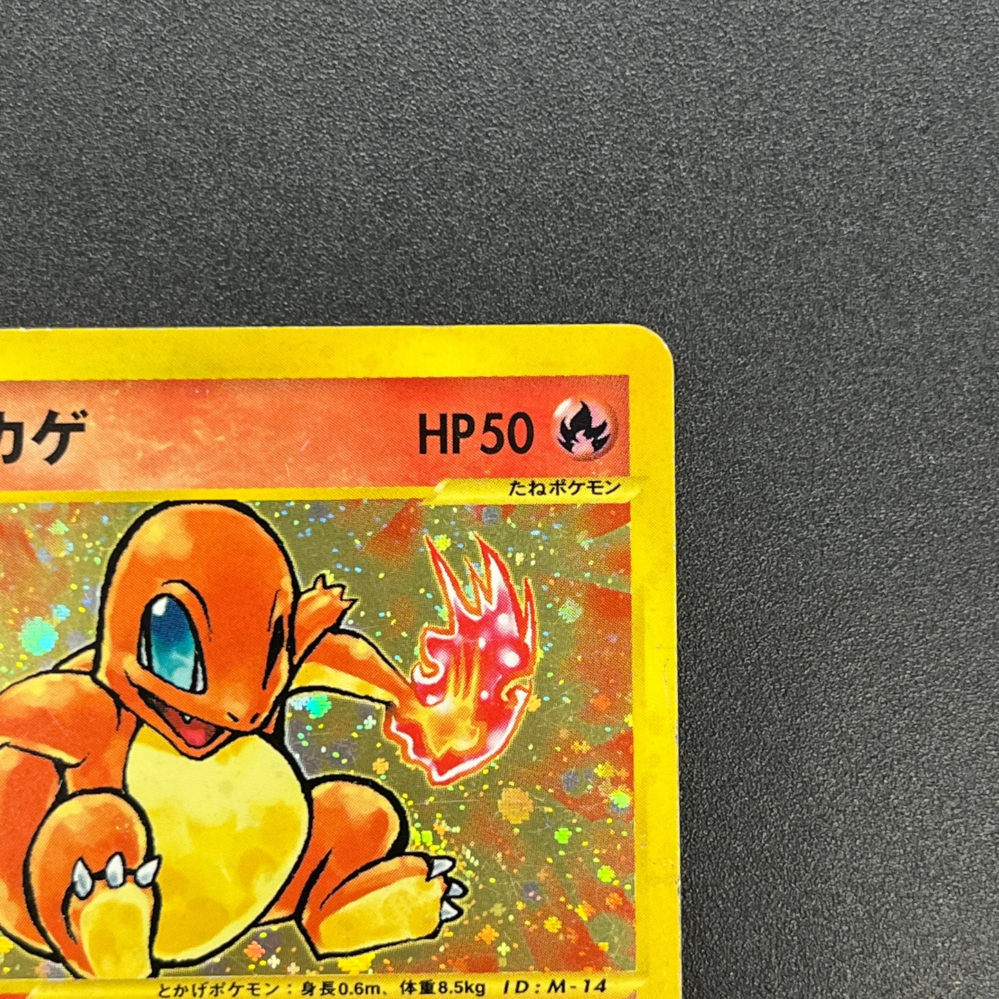 Charmander 004/018 McDonald's Promo Holo e Pokemon Card