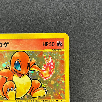 Charmander 004/018 McDonald's Promo Holo e Pokemon Card