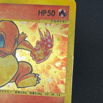 Charmander 004/018 McDonald's Promo Holo e Pokemon Card