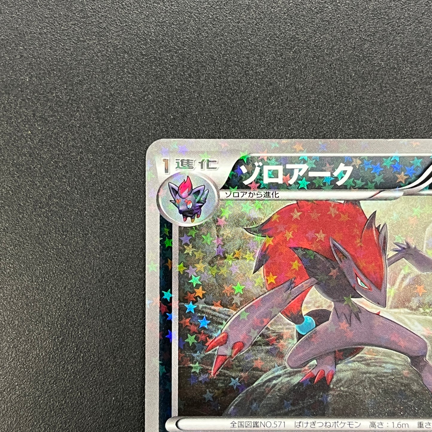 Zoroark 035/047 Everyone's Exciting Battle WAK Card