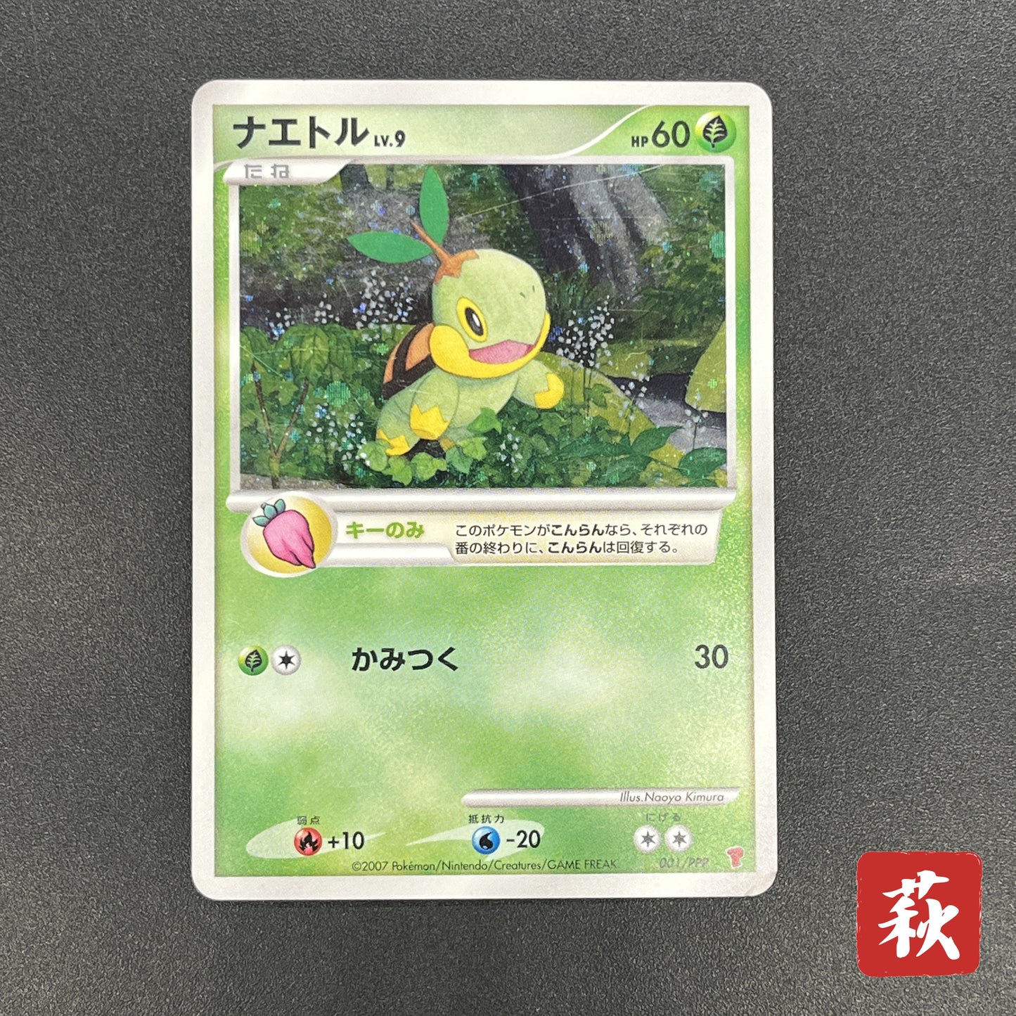 Turtwig 001/PPP Promo Earn EXP Points Pokemon Card