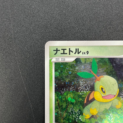 Turtwig 001/PPP Promo Earn EXP Points Pokemon Card
