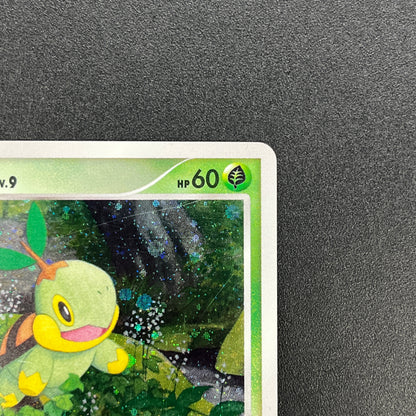 Turtwig 001/PPP Promo Earn EXP Points Pokemon Card