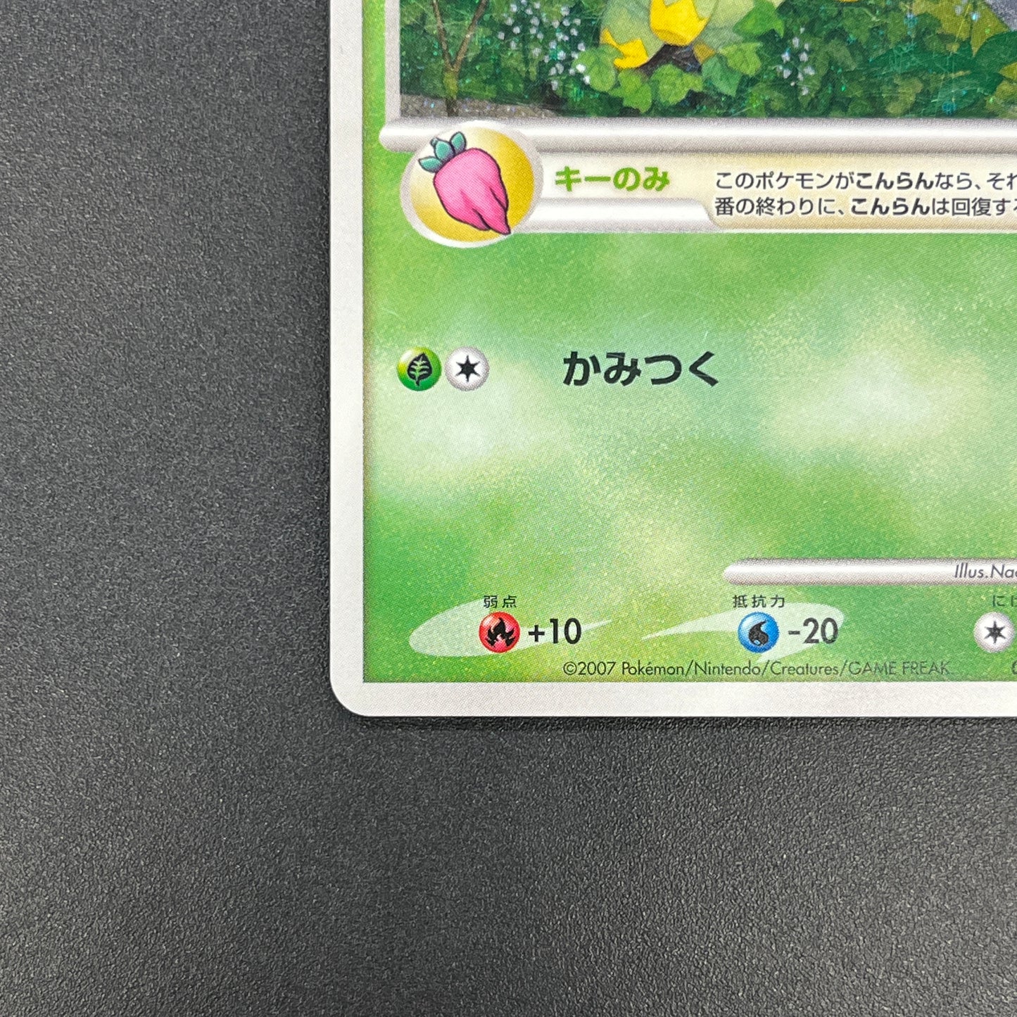 Turtwig 001/PPP Promo Earn EXP Points Pokemon Card