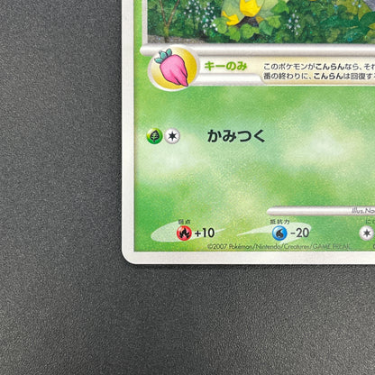 Turtwig 001/PPP Promo Earn EXP Points Pokemon Card