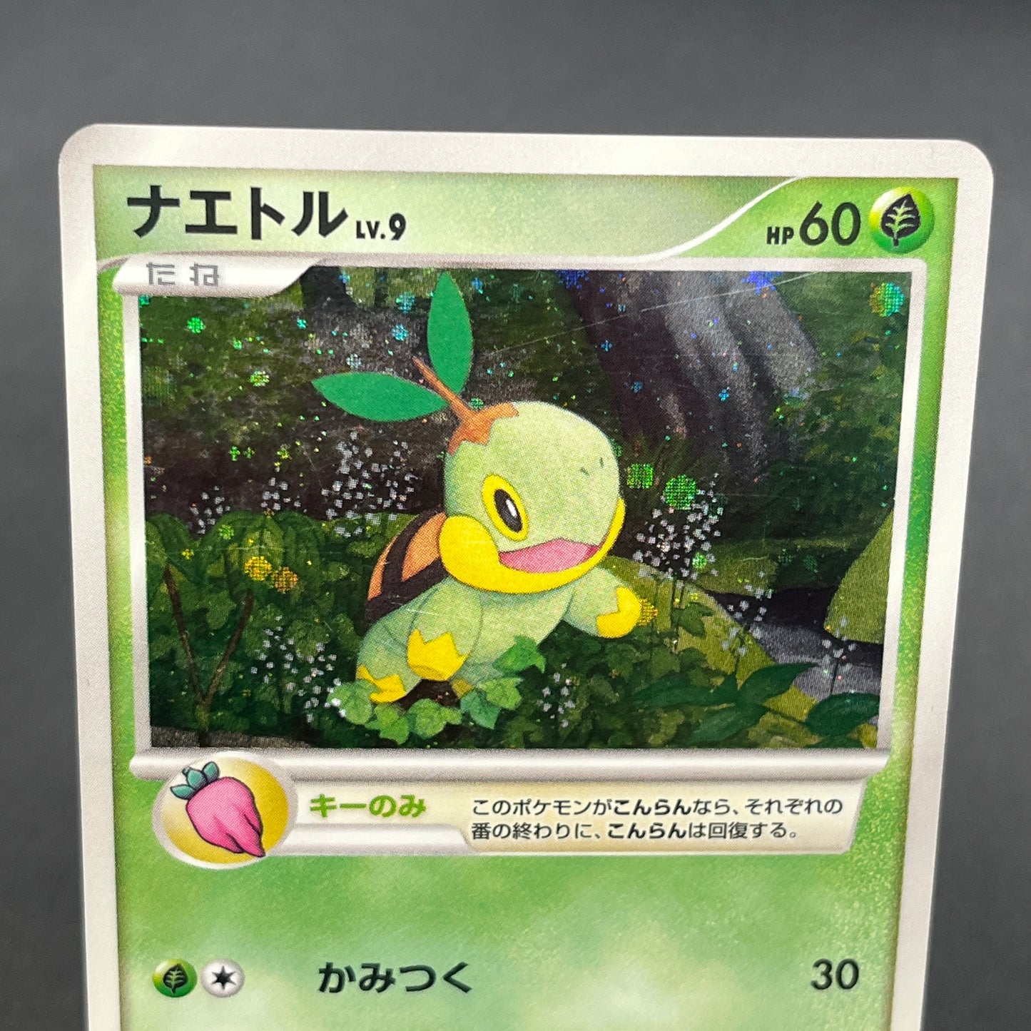 Turtwig 001/PPP Promo Earn EXP Points Pokemon Card