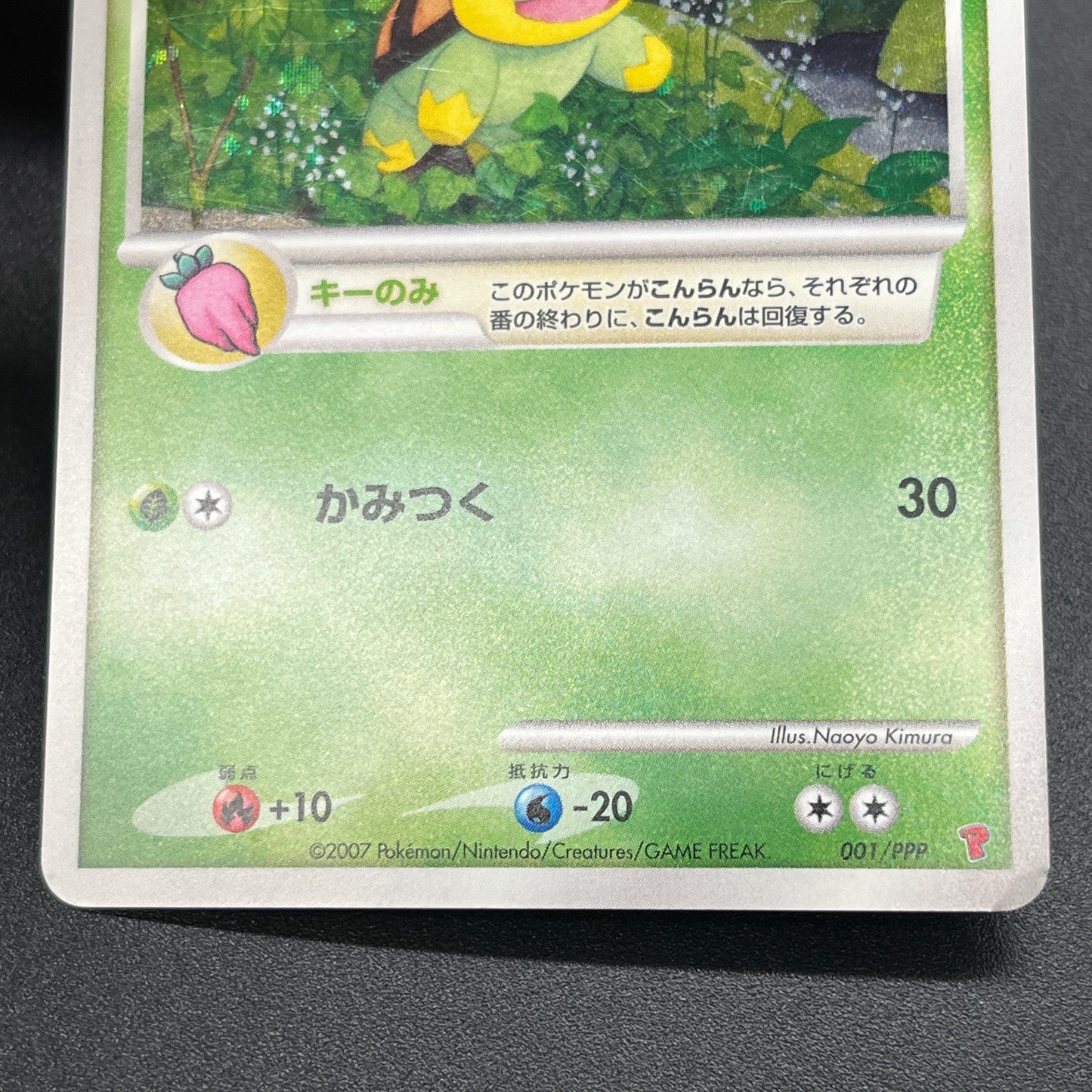 Turtwig 001/PPP Promo Earn EXP Points Pokemon Card