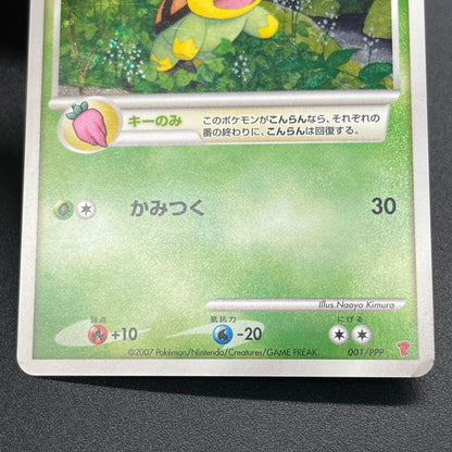 Turtwig 001/PPP Promo Earn EXP Points Pokemon Card