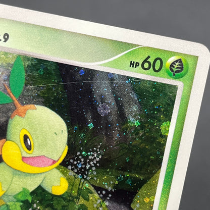 Turtwig 001/PPP Promo Earn EXP Points Pokemon Card