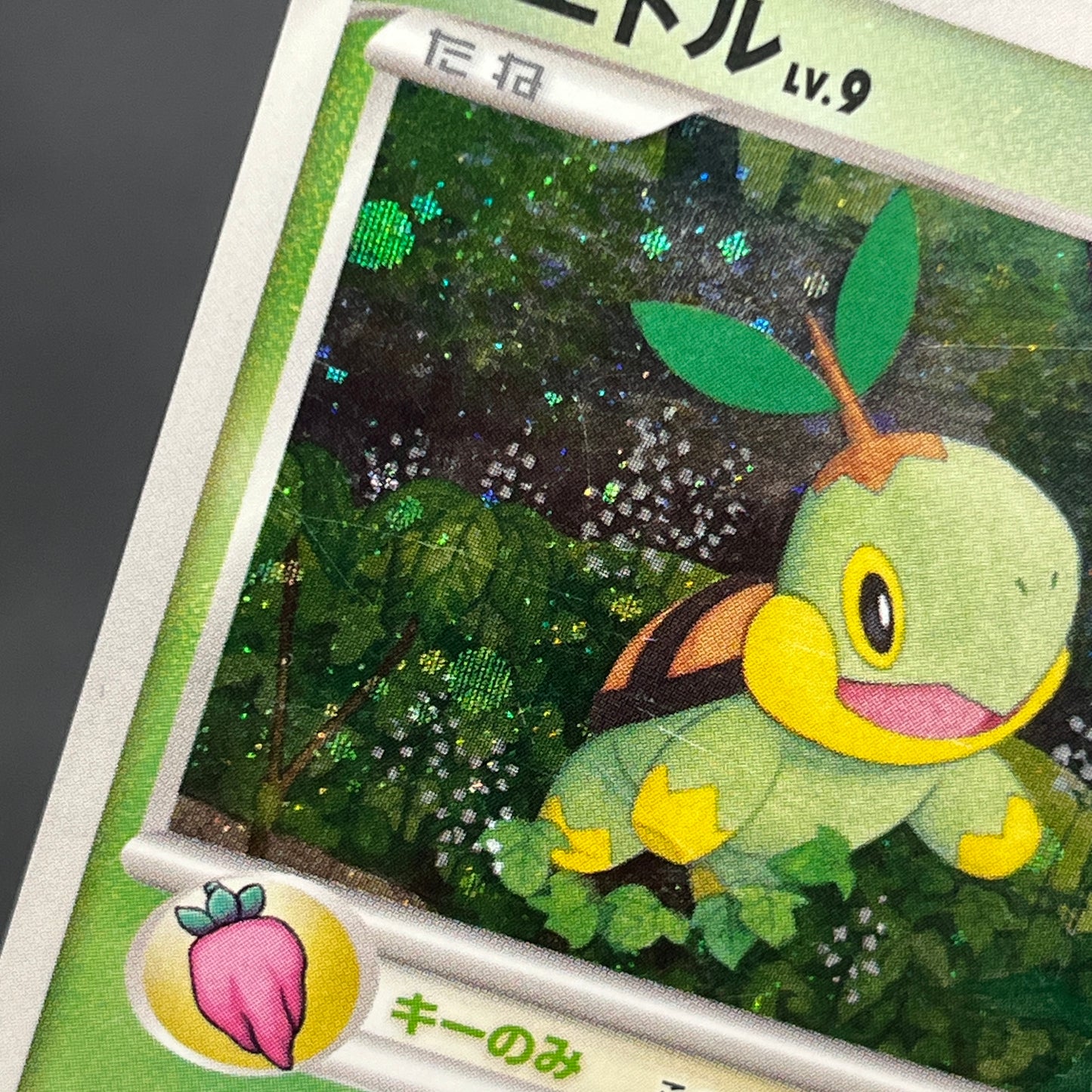 Turtwig 001/PPP Promo Earn EXP Points Pokemon Card