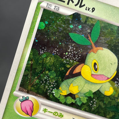 Turtwig 001/PPP Promo Earn EXP Points Pokemon Card