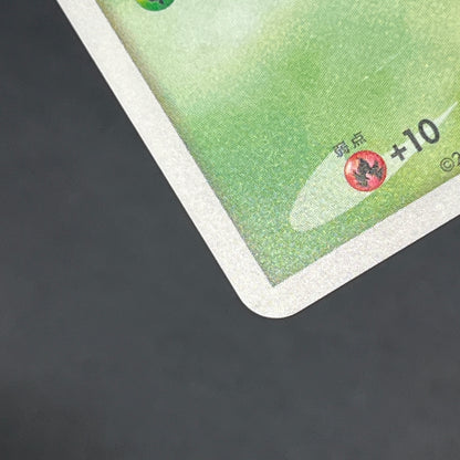Turtwig 001/PPP Promo Earn EXP Points Pokemon Card