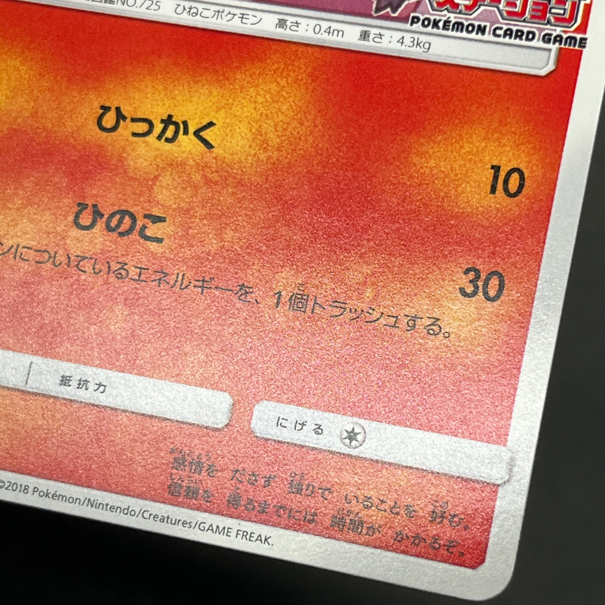 Litten 259/SM-P Promo Station event prize Pokemon Card