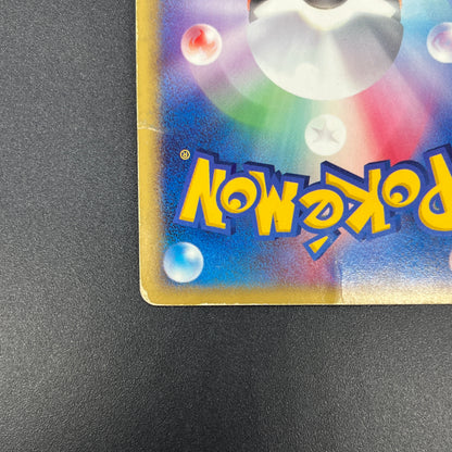 Chikorita 003/018 McDonald's Promo Holo e Pokemon Card