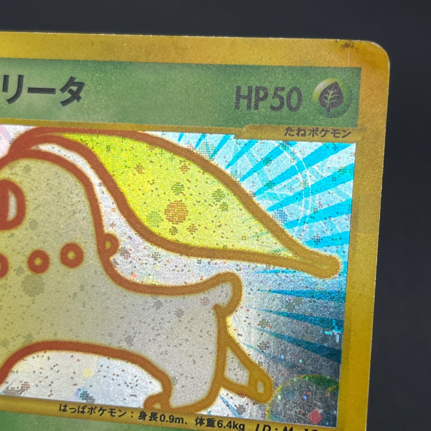 Chikorita 003/018 McDonald's Promo Holo e Pokemon Card