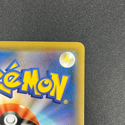 Litten 374/SM-P Pokemon Card Station Promo Pokemon Card