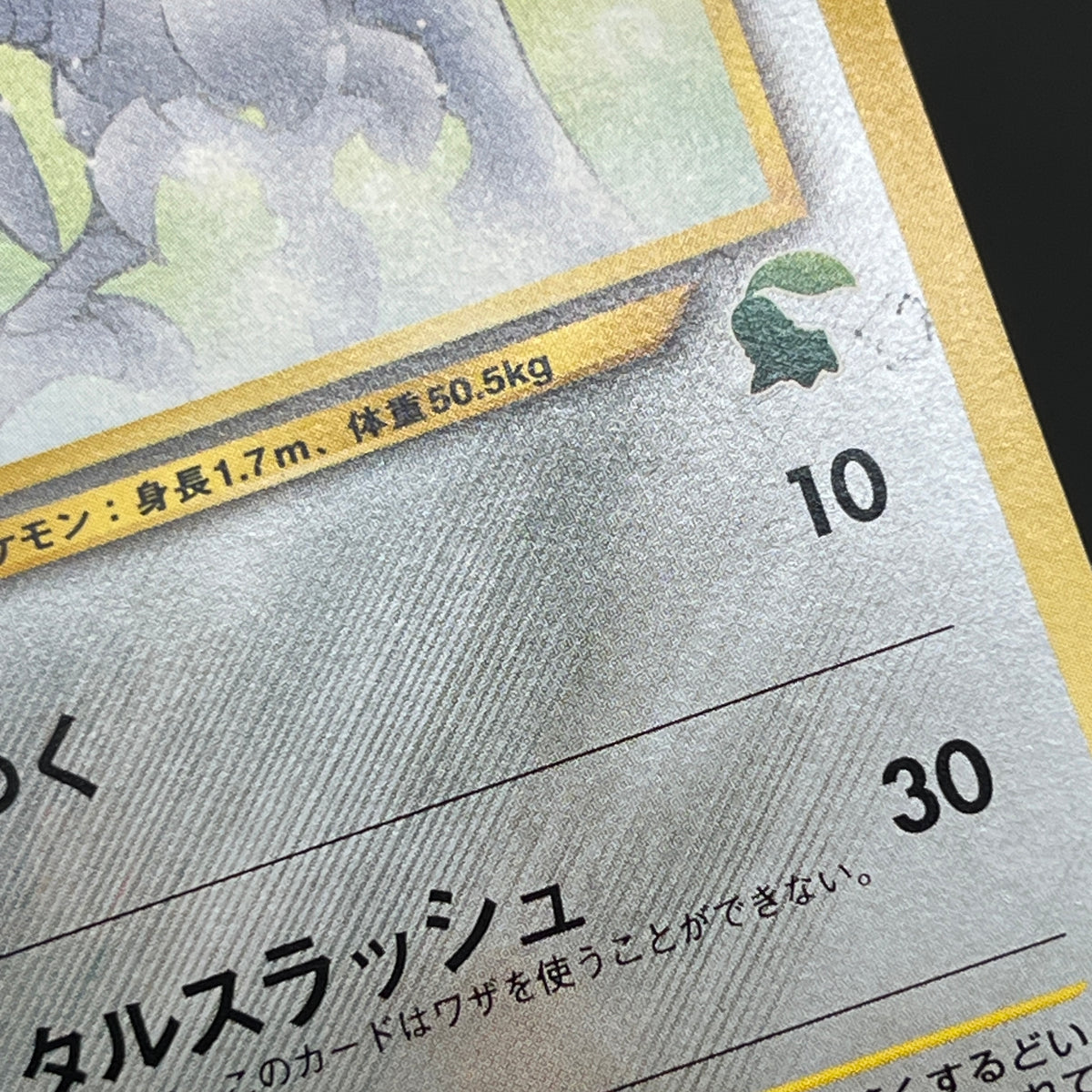Skarmory 227 Neo Intro Pack Chikorita Deck Pokémon Card