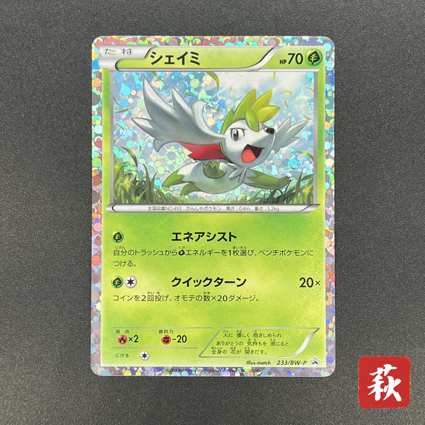 Shaymin 233/BW-P Mewtwo vs Genesect Promo Pokemon Card