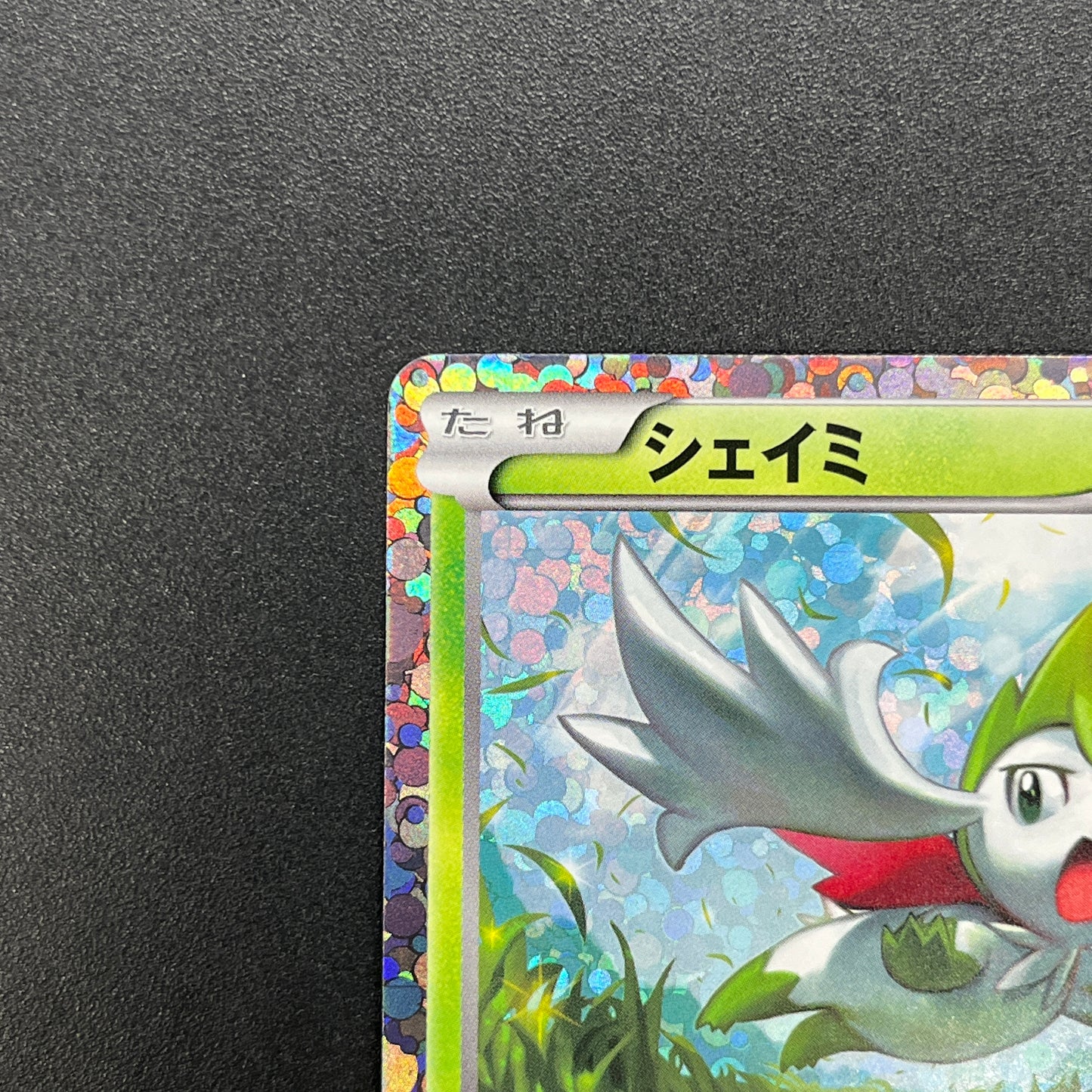 Shaymin 233/BW-P Mewtwo vs Genesect Promo Pokemon Card