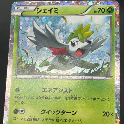 Shaymin 233/BW-P Mewtwo vs Genesect Promo Pokemon Card