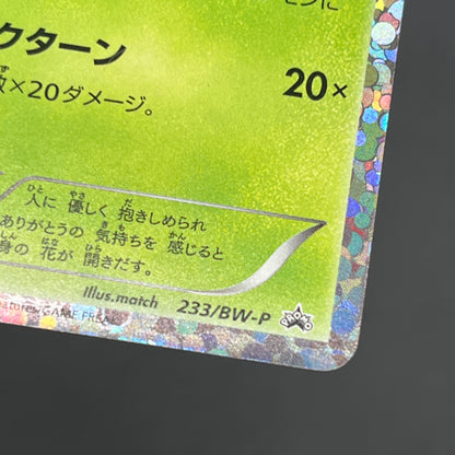 Shaymin 233/BW-P Mewtwo vs Genesect Promo Pokemon Card