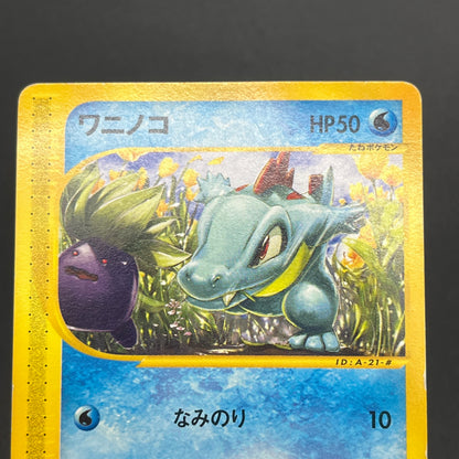 Totodile e Starter Deck 021/029 022/029 Pokemon Card