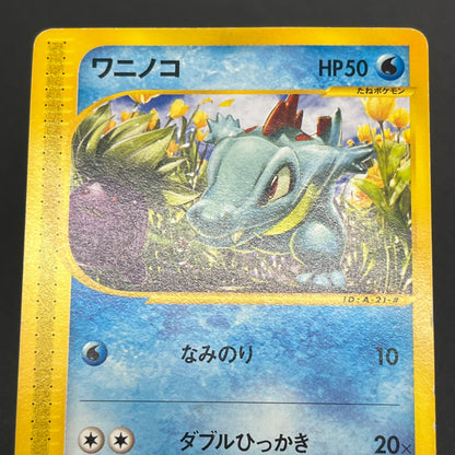 Totodile e Starter Deck 021/029 022/029 Pokemon Card