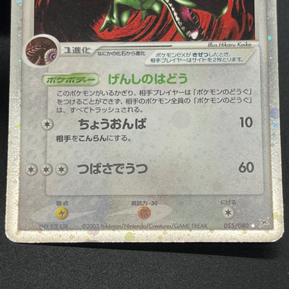 Aerodactyl Kabutops 2set Team Magma vs Team Aqua Holo Card