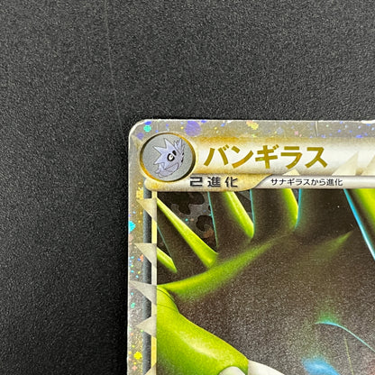 Tyranitar 044/080 Reviving Legends Holo 1st Ed Card