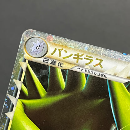 Tyranitar 044/080 Reviving Legends Holo 1st Ed Card