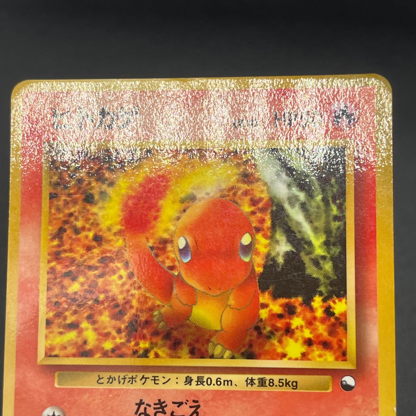 Squirtle Charmander Bulbasaur Vending Glossy Pokemon Card
