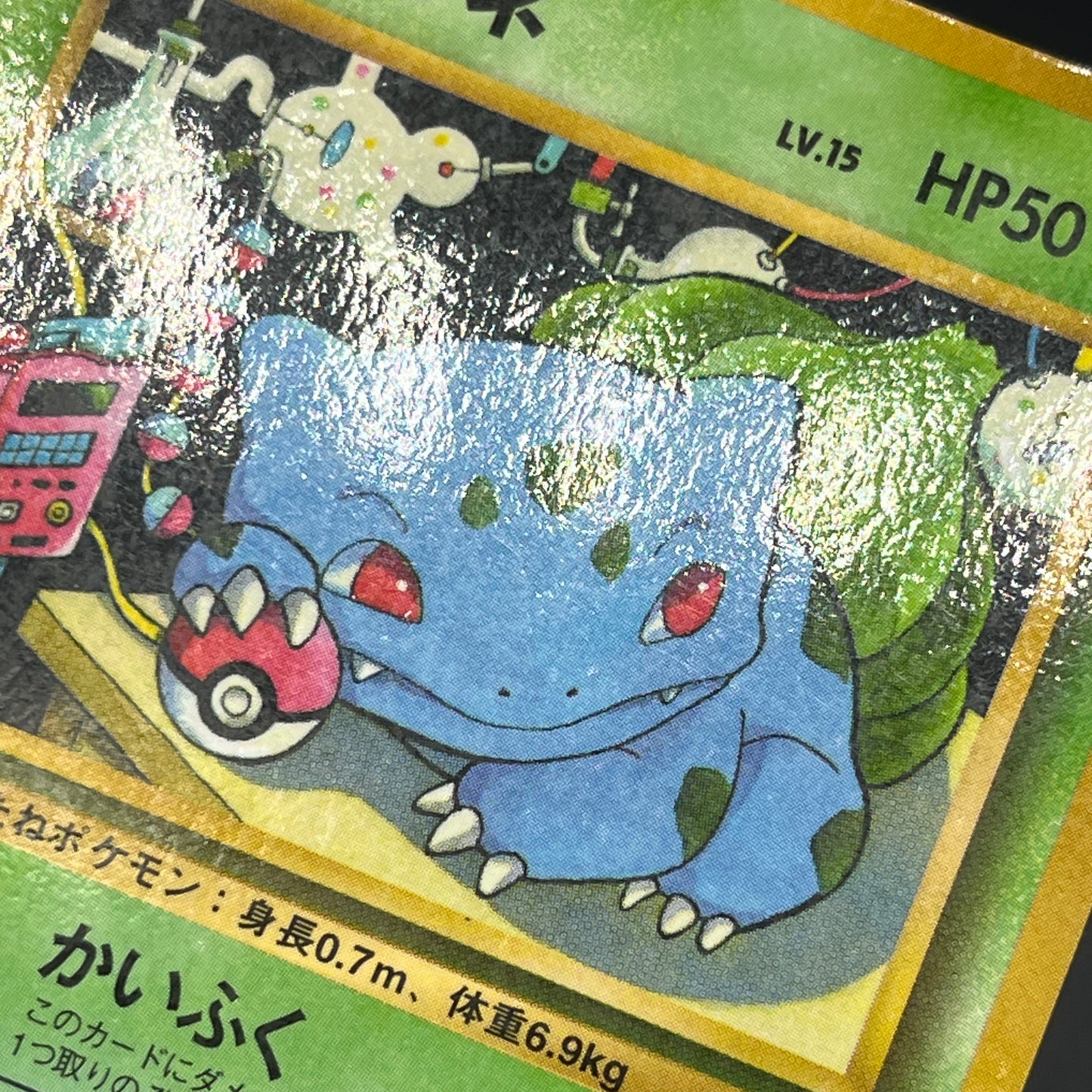 Squirtle Charmander Bulbasaur Vending Glossy Pokemon Card