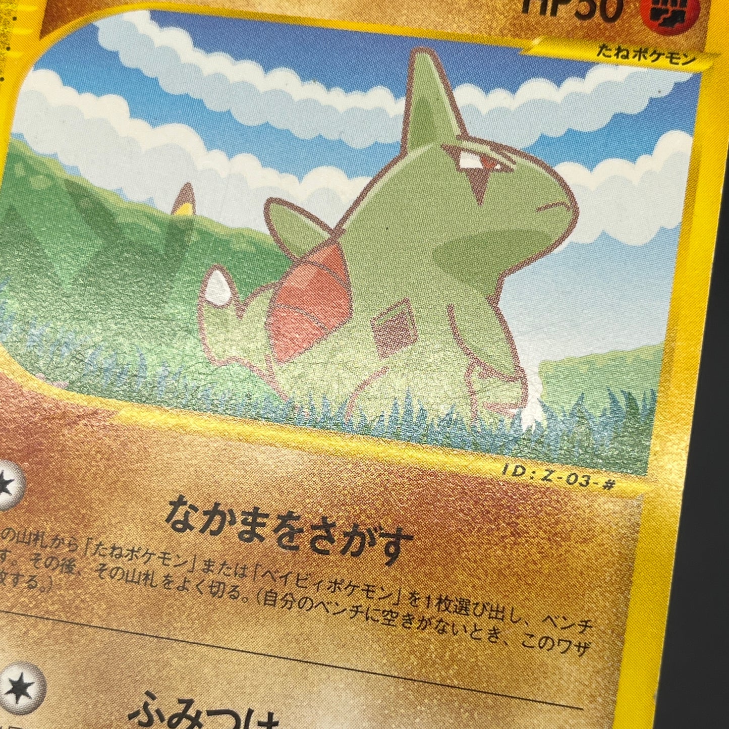 Pikachu 004/P Larvitar ANA All Nippin Airways Pokémon Card