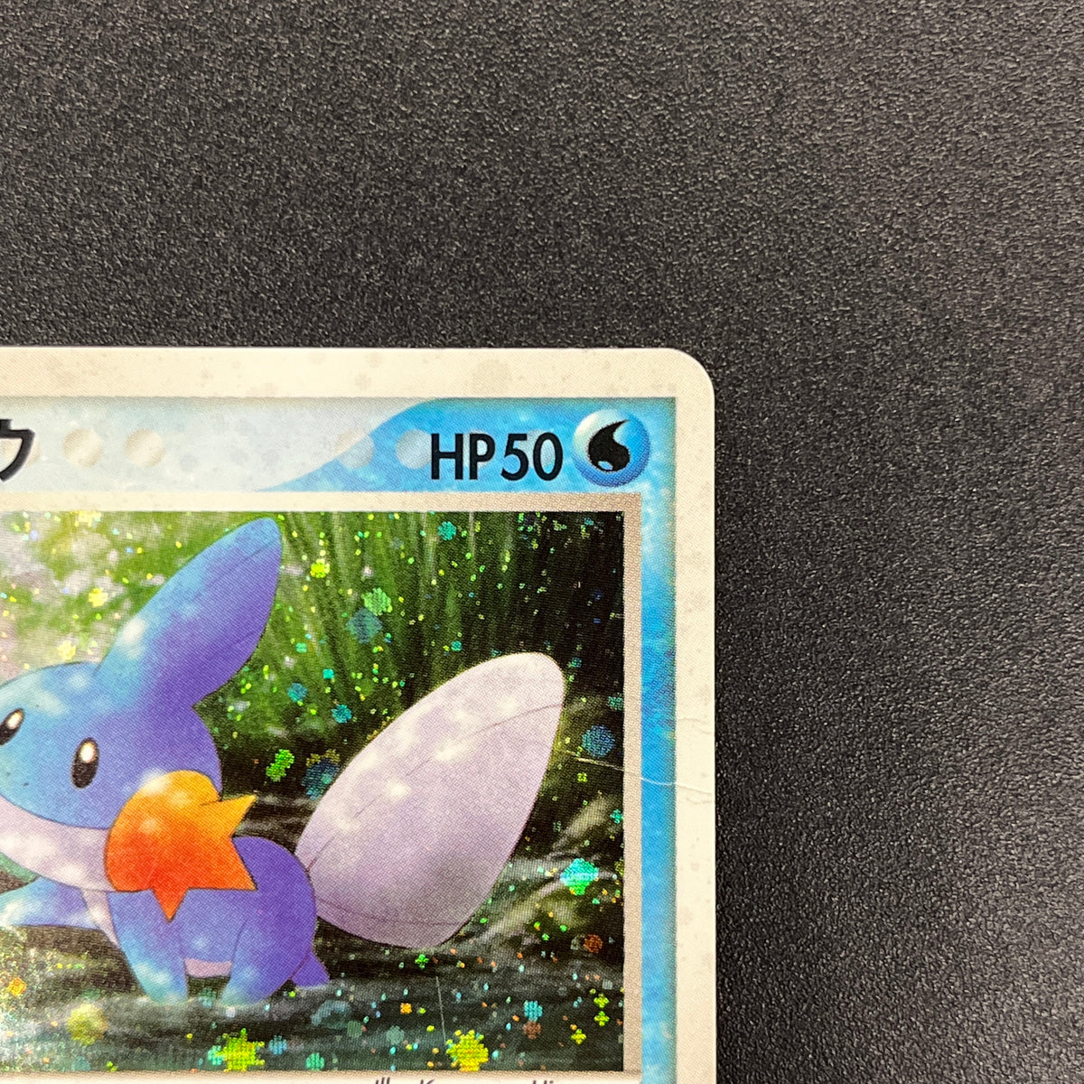 Mudkip 020/ADV-P Promo 7-Eleven Fair 2003 Pokemon Card