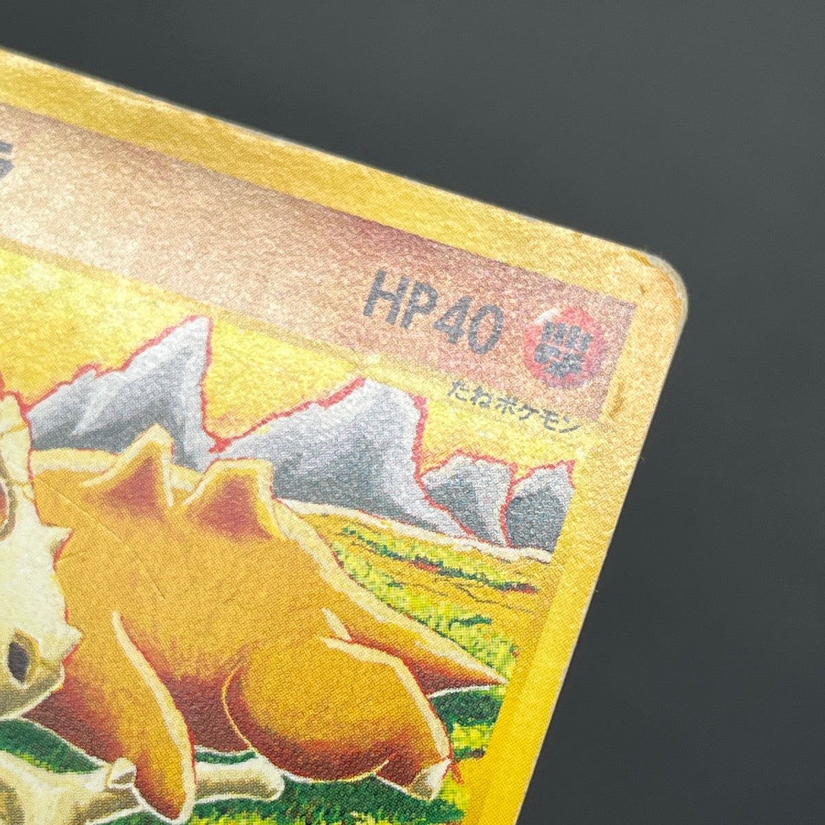Cubone 023/128 Tomokazu Komiya E series Pokémon Card