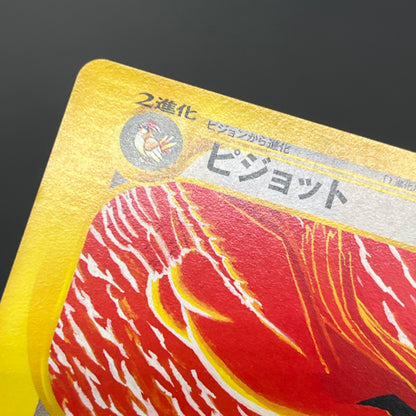 Pidgey Pidgeotto Pidgeot Tomokazu Komiya E Pokemon Card
