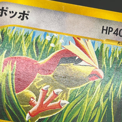 Pidgey Pidgeotto Pidgeot Tomokazu Komiya E Pokemon Card