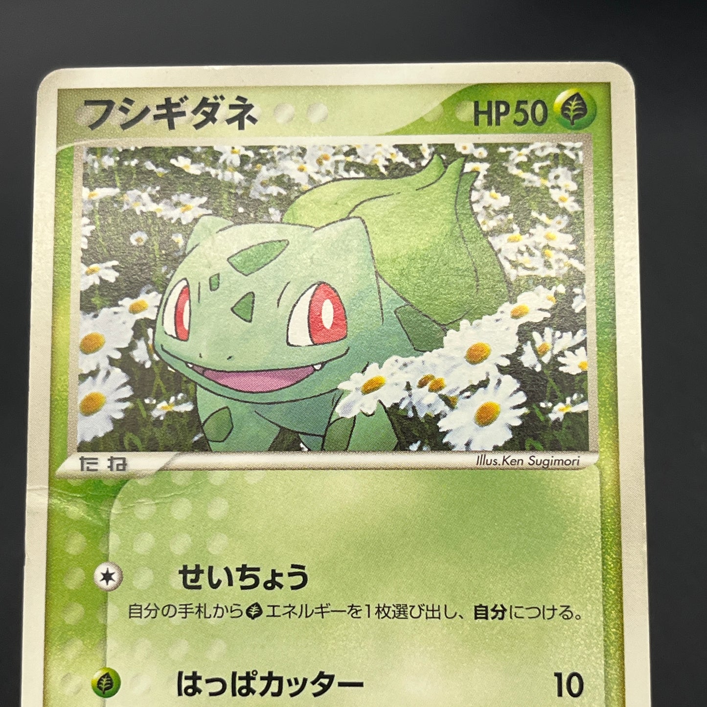 Squirtle 055/ADV-P Bulbasaur Charmander Meiji Pokemon Card