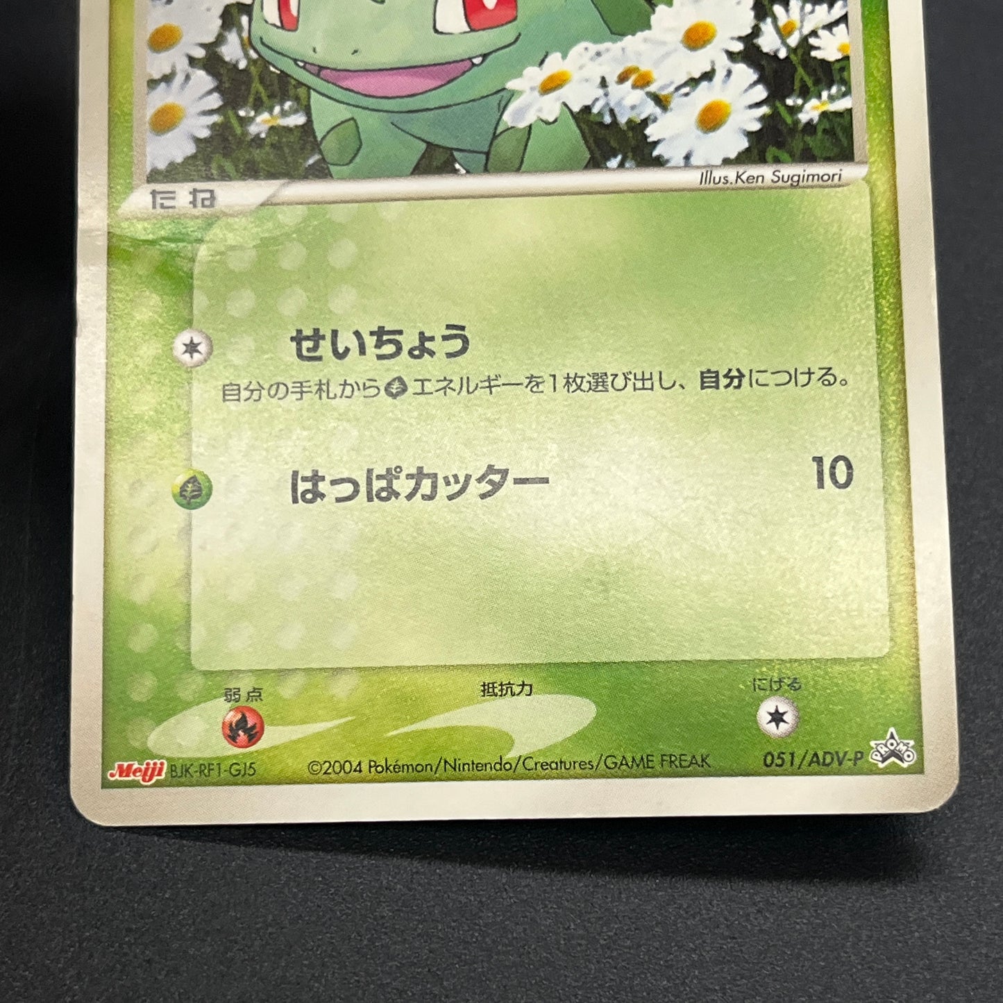 Squirtle 055/ADV-P Bulbasaur Charmander Meiji Pokemon Card