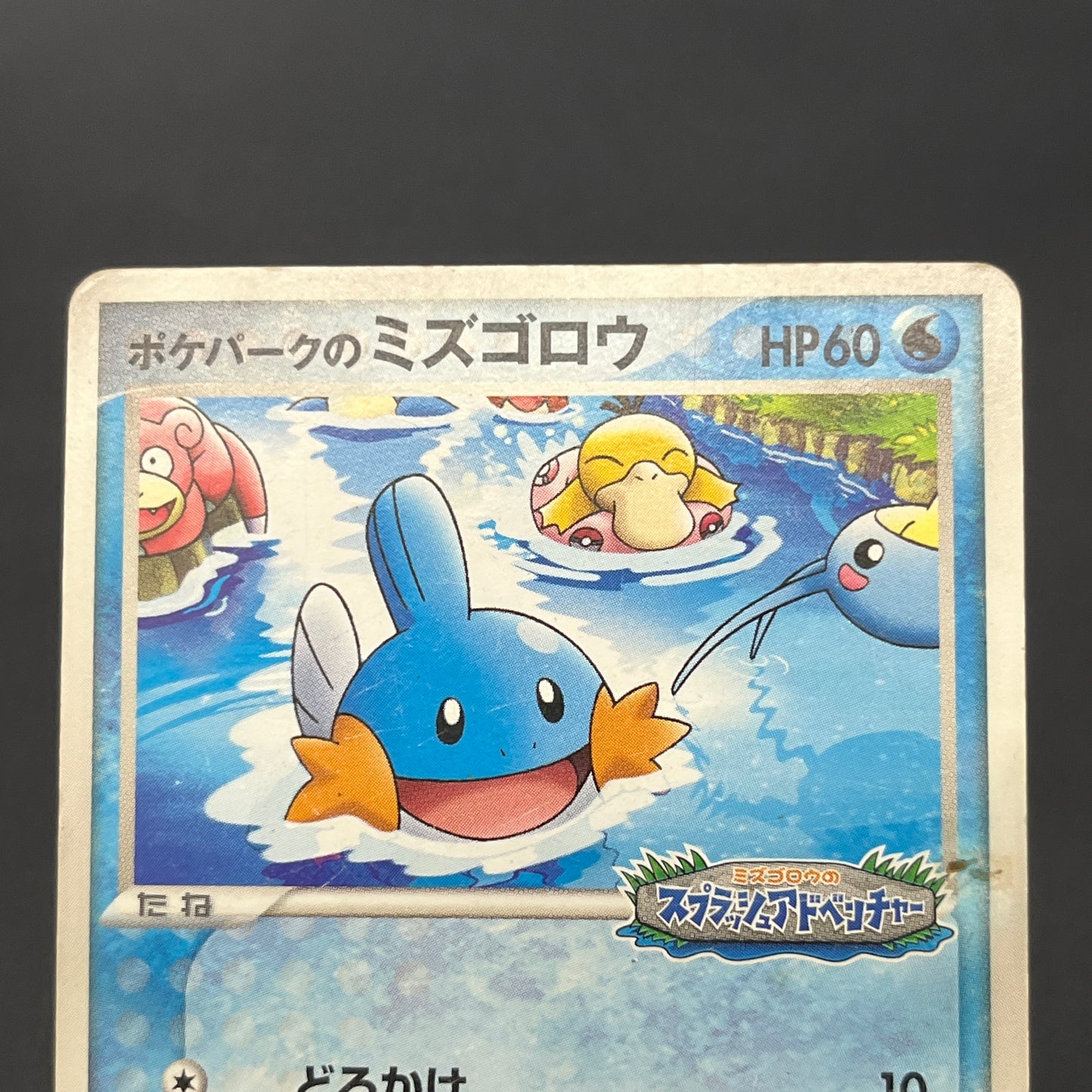PokePark's Mudkip 048/PCG-P Jirachi etc 3set Pokémon Card