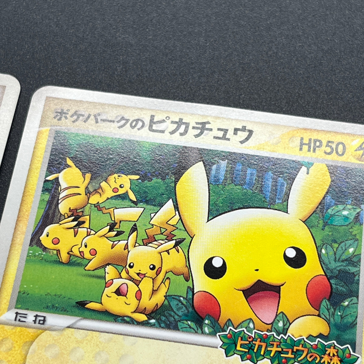 PokePark's Pikachu 043/PCG-P Lugia etc 3set Pokémon Card