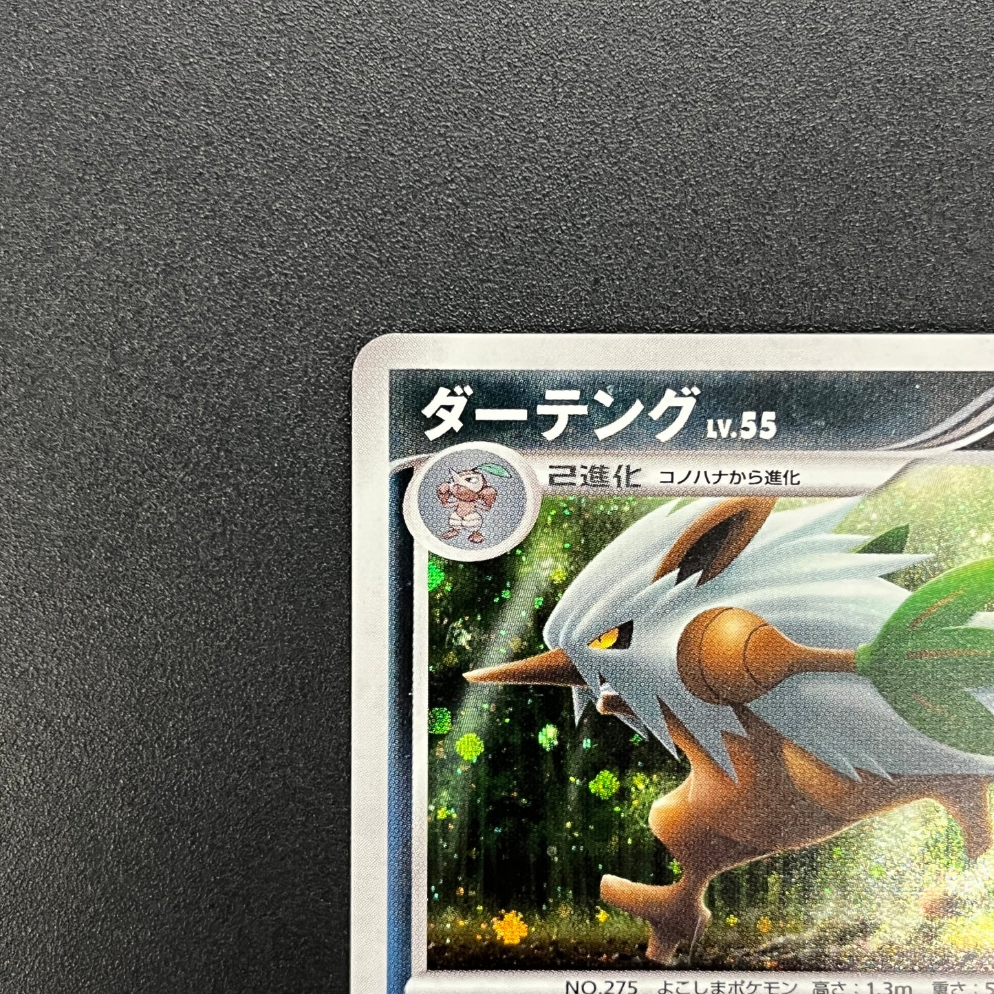 Shiftry 058/090 Holo Bonds End of Time Pokemon Card