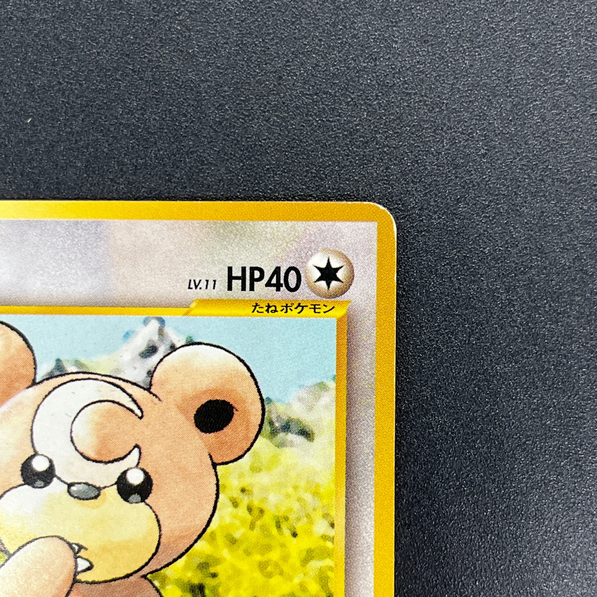 Teddiursa No. 216 Intro Pack Chikorita Deck Pokémon Card