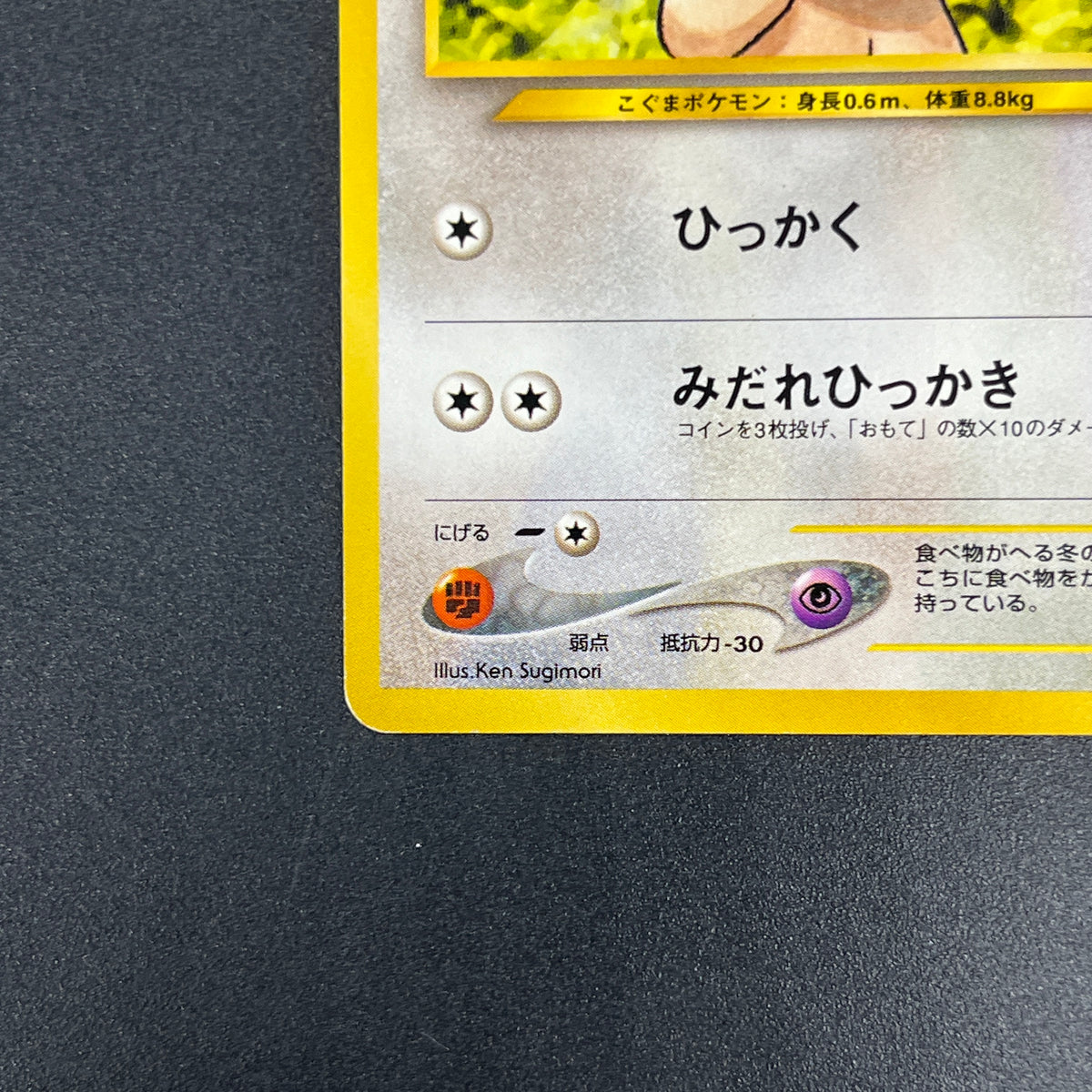 Teddiursa No. 216 Intro Pack Chikorita Deck Pokémon Card